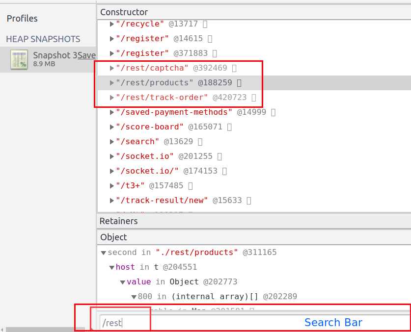 Searching a heap snapshot for API paths